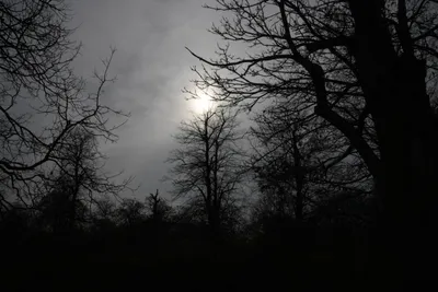 DSC_6920 (Large).JPG